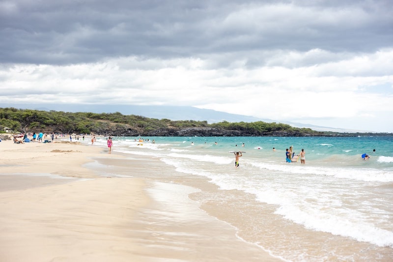 心を打つ感動と美の世界への深い魅了:アートの魔法が紡ぐアーティストの物語